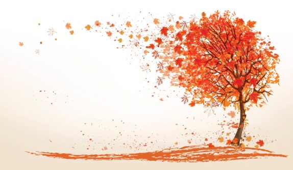 PROGRAMME DES MERCREDIS D’OCTOBRE 2024
